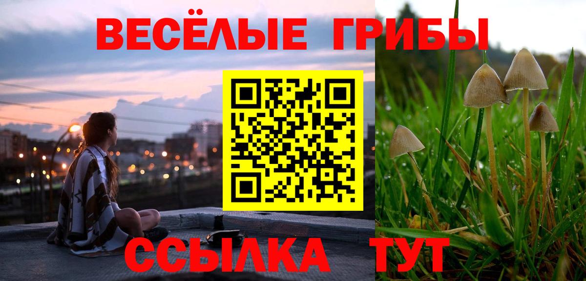 Псилоцибиновые грибы MAGIC MUSHROOMS  Вход с VPN  купить наркотик  Хабаровск 